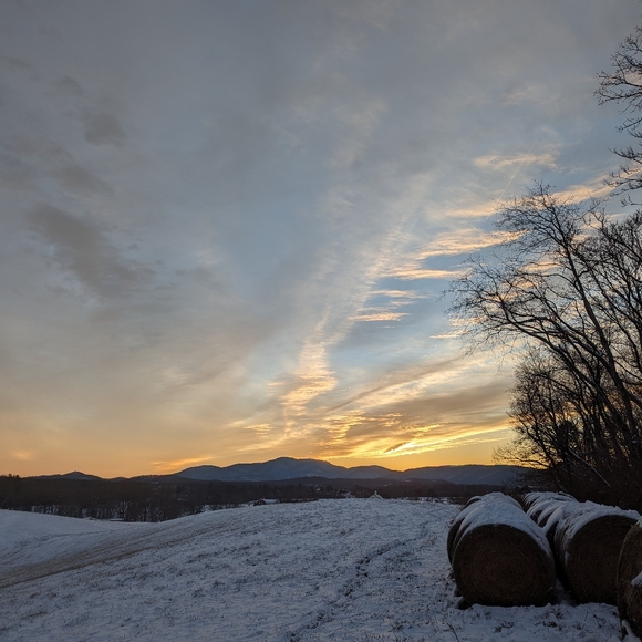 Meet your Posher, Jessica - Picture 2 of 2